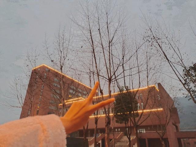 伤感文案｜我们还是朋友，永远不会联系的朋友