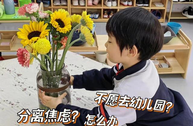 幼儿园分离焦虑，孩子哭得撕心裂肺，父母也揪心，该如何缓解呢