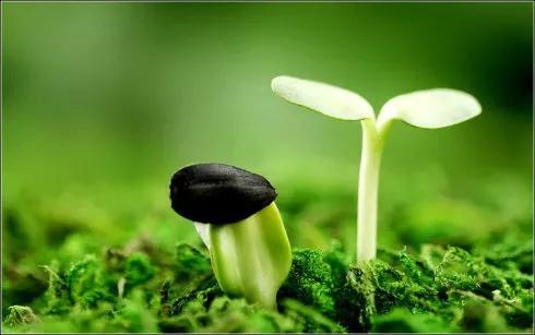 人生最可怕的就是：每天浑浑噩噩的虚度光阴