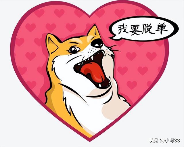 其实认识女孩子很简单！单身狗，必看的魔鬼搭讪学（建议收藏）